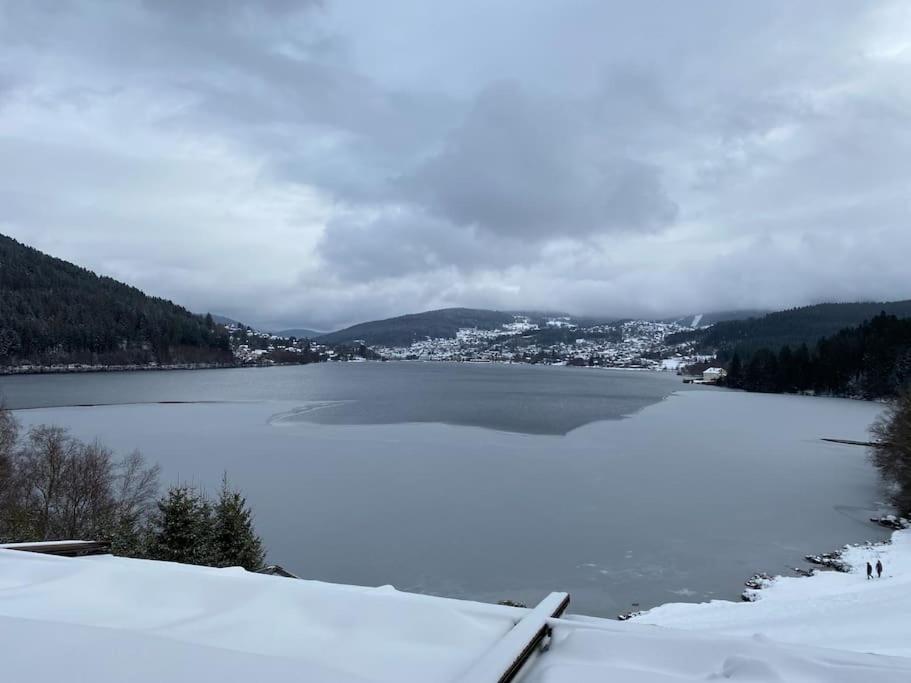 Studio Cosy Ambiance Vosgienne A 20 Mn De Gerardmer Lepanges-sur-Vologne Extérieur photo