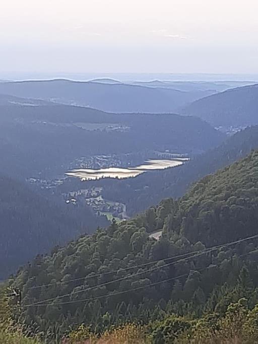 Studio Cosy Ambiance Vosgienne A 20 Mn De Gerardmer Lepanges-sur-Vologne Extérieur photo