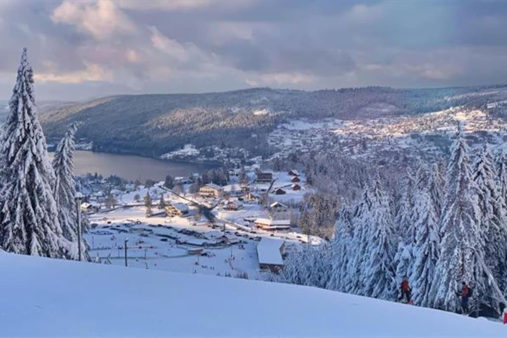 Studio Cosy Ambiance Vosgienne A 20 Mn De Gerardmer Lepanges-sur-Vologne Extérieur photo
